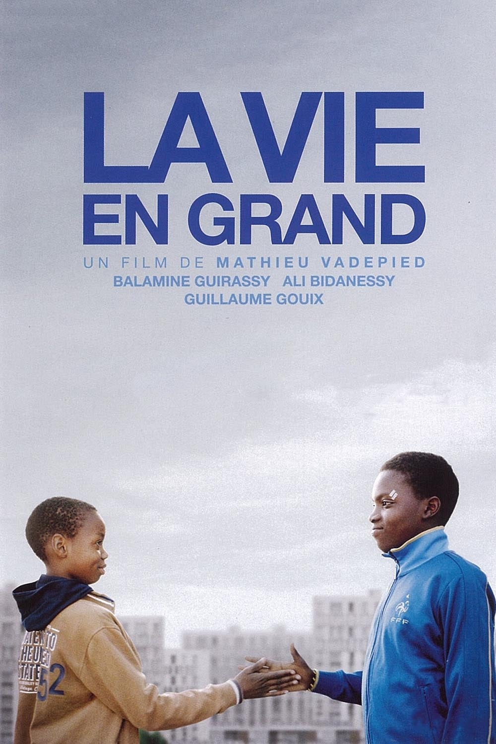 Vie en grand (La) (2015)