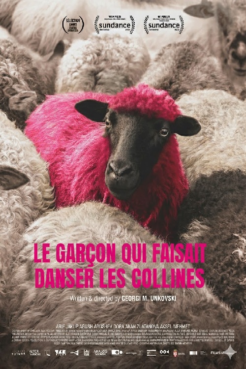 Garçon qui faisait danser les collines (Le)